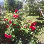 House White Hill Apartman