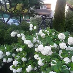 House White Hill Bihać