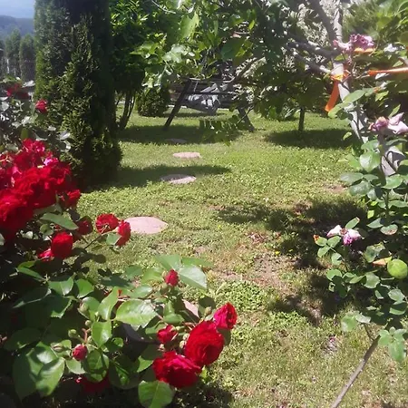 House White Hill Bihac