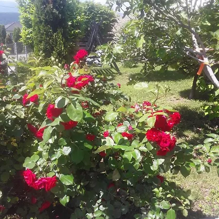 House White Hill Apartman