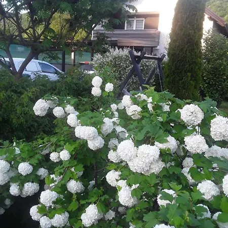 House White Hill Bihac